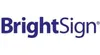 BrightSign WD105 BrightSign Dual Antenne WiFi/Bluetooth Anteprima dell’immagine prodotto 2