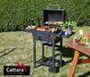 Cattara 13039 - Holzkohlegrill ROYAL PARTNER Gusseisenrost Produktbild-Vorschau 8