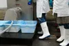 DUNLOP, ochranná obuv, model CA61131, Purofort FoodPro Náhľad obrázku produktu 4
