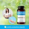 Bioherba | 4 Strain Probiotic | with Riboflavin Produktbild-Vorschau 7