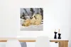 MuchoWow® Poster Eisbär - Schnee - Höhle - Jungtier 50x50 Produktbild-Vorschau 5