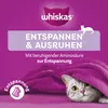 WHISKAS® Relax & Unwind mit Huhn 8 x 45g Produktbild-Vorschau 2