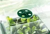 PARKSIDE® Anzuchtkasten-Set, mit Zubehör (Anzuchtset 10er Produktbild-Vorschau 9