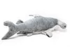 Cornelissen - Peluche - Requin marteau - Grand - 59 cm Voir les images du produit 2