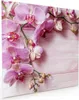 Küchenrückwand Spritzschutz Glas mit Motiv Orchideen Holz Produktbild-Vorschau 1