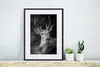 MuchoWow® MuchoWow® Gerahmtes Poster Tierprofil Hirsche in Produktbild-Vorschau 5