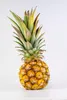 Ponthier ANANAS VICTORIA PÜREE Frucht-Mark-Püree 1 KG Produktbild-Vorschau 3