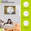 ARTland Leinwandbild Schneeeule Größe: 60x45 cm Produktbild-Vorschau 2
