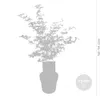 Bloomique - Acer Shirasawanum Moonrise - Klon japoński - Podgląd zdjęcia produktu 4