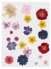 Creativ Company 504475, Gemischte Farben Produktbild-Vorschau 2
