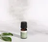 Teebaumöl, ätherisches Öl, 100% Rein, BIO, natürlich, 10 ml Produktbild-Vorschau 9