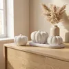 Set decorazioni autunno 4 pezzi con vassoio, zucche e Anteprima dell’immagine prodotto 2