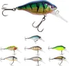 Fox Rage 50mm 7g Funk Bug SR UV - Wobbler Crankbait, Produktbild-Vorschau 3
