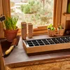 SIENA GARDEN Anzuchtvollholzkiste mit 27er Topfplatte Produktbild-Vorschau 3