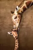 puzzle da 1000 pezzi giraffa con bambino il primo bacio Anteprima dell’immagine prodotto 2