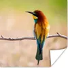 MuchoWow® Poster Vögel - Bienenfresser - Tiere 75x75 cm - Produktbild-Vorschau 1