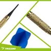 Set di frecce Trizand 12 pezzi + punte 26100 Anteprima dell’immagine prodotto 4