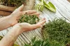 Biovita Erde, -Substrat Für Kräuter, Natural 10L Produktbild-Vorschau 20