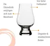 Stölzle Lausitz Whisky Glencairn Glas 190ml 6er Set Anteprima dell’immagine prodotto 4