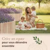 Floranica Bordure de Jardin en bois 30 x 200 cm Non-traité Voir les images du produit 6