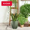 KADAX Blumentopf aus Kunststoff "Costa", mit Produktbild-Vorschau 7