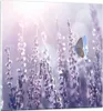 Bilder auf glas - Schmetterling Wiese Blume - 70x70cm - Produktbild-Vorschau 1
