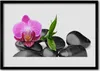 Bild 70x50 MDF-Rahmen Wandkunst Blumen-Stones-Kunst Produktbild-Vorschau 1