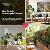 VENSO LED Pflanzenlampe Vollspektrum CANNA SUNLiTE, 30W Produktbild-Vorschau 4