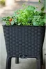 A close-up of a raised garden planter filled with various plants, including tomatoes and leafy greens. Voir les images du produit
