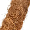 Kokosový kůl Podpěra pro rostliny Eko 60 cm Náhled obrázku produktu 3