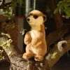 Peluche Suricate 23 Cm Eco-friendly Soft Voir les images du produit 6