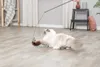 TRIXIE Spielangel mit Maus, 46 cm Produktbild-Vorschau 9