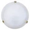 Plafond verre 30 cm E27 1x60W verre blanc albâtre rond Voir les images du produit 4