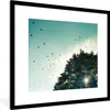 MuchoWow® MuchoWow® Gerahmtes Poster Wald - Baum - Vogel Produktbild-Vorschau 1