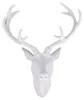 XXL Hirschgeweih Hirschkopf Geweih 10-Ender Weiß 48x32x61cm Figur Skulptur Produktbild-Vorschau