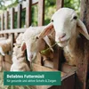 Agrarzone fourrage pour moutons fourrage pour chèvres Voir les images du produit 2