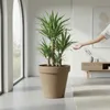 Kunststoff Pflanzkübel XXL rund Ø 58 cm - mokka - Produktbild-Vorschau 7