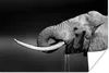 MuchoWow® Poster Elefant - Wasser - Schwarz - Weiß 60x40 cm Produktbild-Vorschau 1