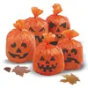 Dekorácie z tekvíc - tekvica - HALLOWEEN - 20 ks Náhľad obrázku produktu 1