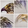 Bild auf Leinwand - Leinwandbild - Adler Vogel Feder - Produktbild-Vorschau 8
