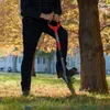 Root Slayer Tiefenwurzeler mit Stiel, Wurzelspaten, Produktbild-Vorschau 9