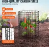 SucceBuy Pack de 6 protections pour plantes, 12,6" de Voir les images du produit 3