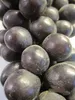 Vitis vinifera Venus Uva senza semi Venus Anteprima dell’immagine prodotto 2