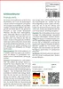 SAFLAX - Schlüsselblume - Primula veris - 100 Samen Produktbild-Vorschau 3