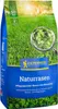 Artikelbild 2 von 'Kiepenkerl Naturrasen (1 Kg)' aus der Kategorie Rasensamen Produktbild-Vorschau
