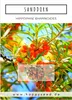 Sanddorn Samen (Hippophae rhamnoides) - Nährstoffreiche Produktbild-Vorschau 2