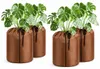Eikuavons, ensemble de 4 protections pour racines de Voir les images du produit 1