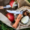 A close-up shot of two Opinel knives, apples, and a bag of nuts and raisins, set outdoors on grass. Podgląd zdjęcia produktu