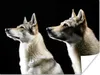 MuchoWow® Poster Seitenprofil von zwei Wölfen 160x120 cm - Produktbild-Vorschau 1