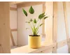 Blumentopf Lafiora Alma Keramik Ø 13,5 cm H 12,6 cm lemon Produktbild-Vorschau 3